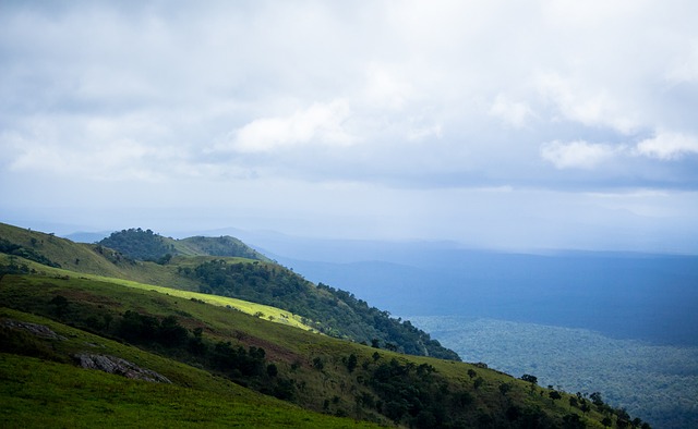 古健杰任英羽队客座教练 西华拉治：或成其他队典范.